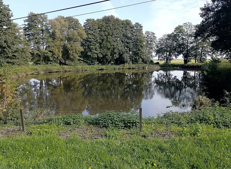 Chantier participatif de restauration des mares anciennes et de leur biodiversité