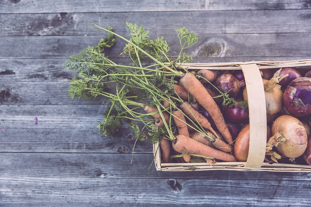 Aide alimentaire repensée avec des paniers solidaires de légumes bio