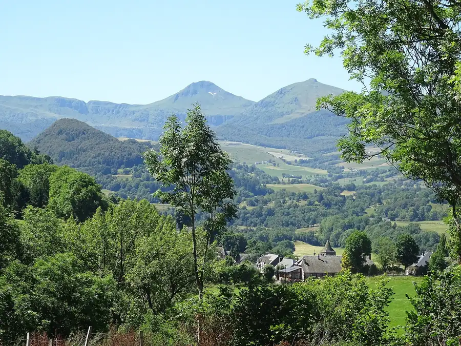 Projets collaboratifs menés dans le cadre d'une université foraine en territoire rural