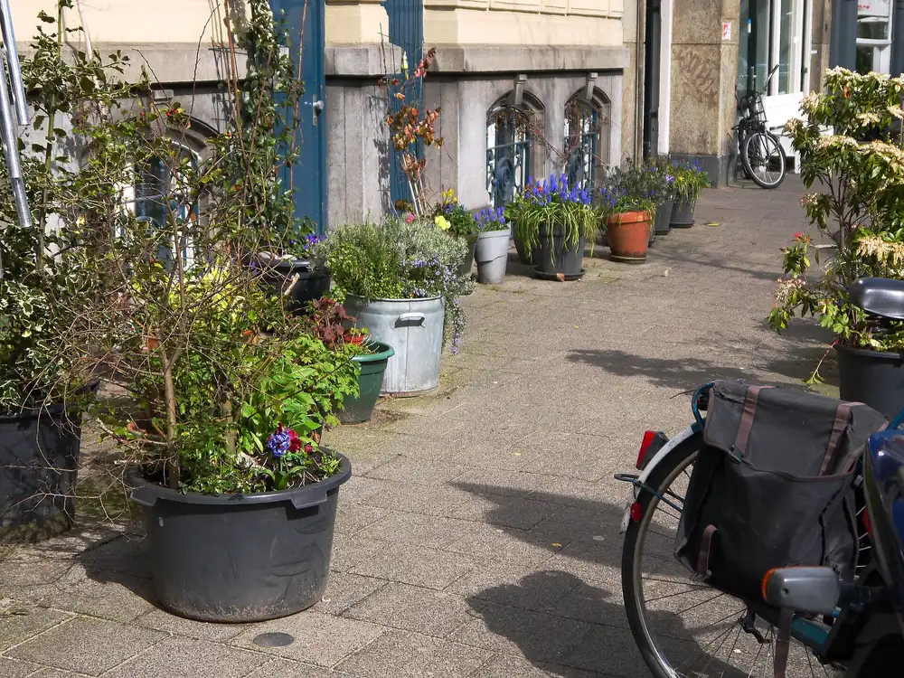Végétalisation urbaine : charte pour un avenir durable.