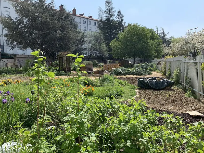 Jardin thérapeutique et jardin convivial en harmonie.
