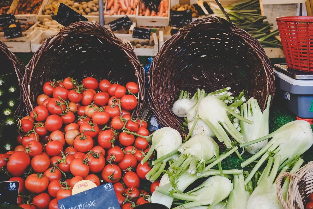 Caisse alimentaire pour une meilleure alimentation.