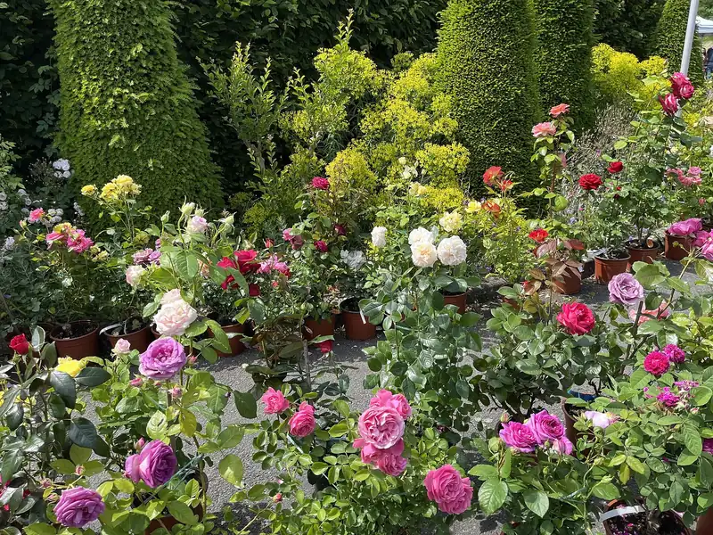 Village fleuri avec jardin coloré et accueillant.
